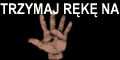 Puls Rynku - nowosci branzy IT