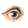 aeye2.gif (11824 bytes)
