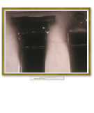 Vol_11
