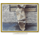 Sommaire_volume